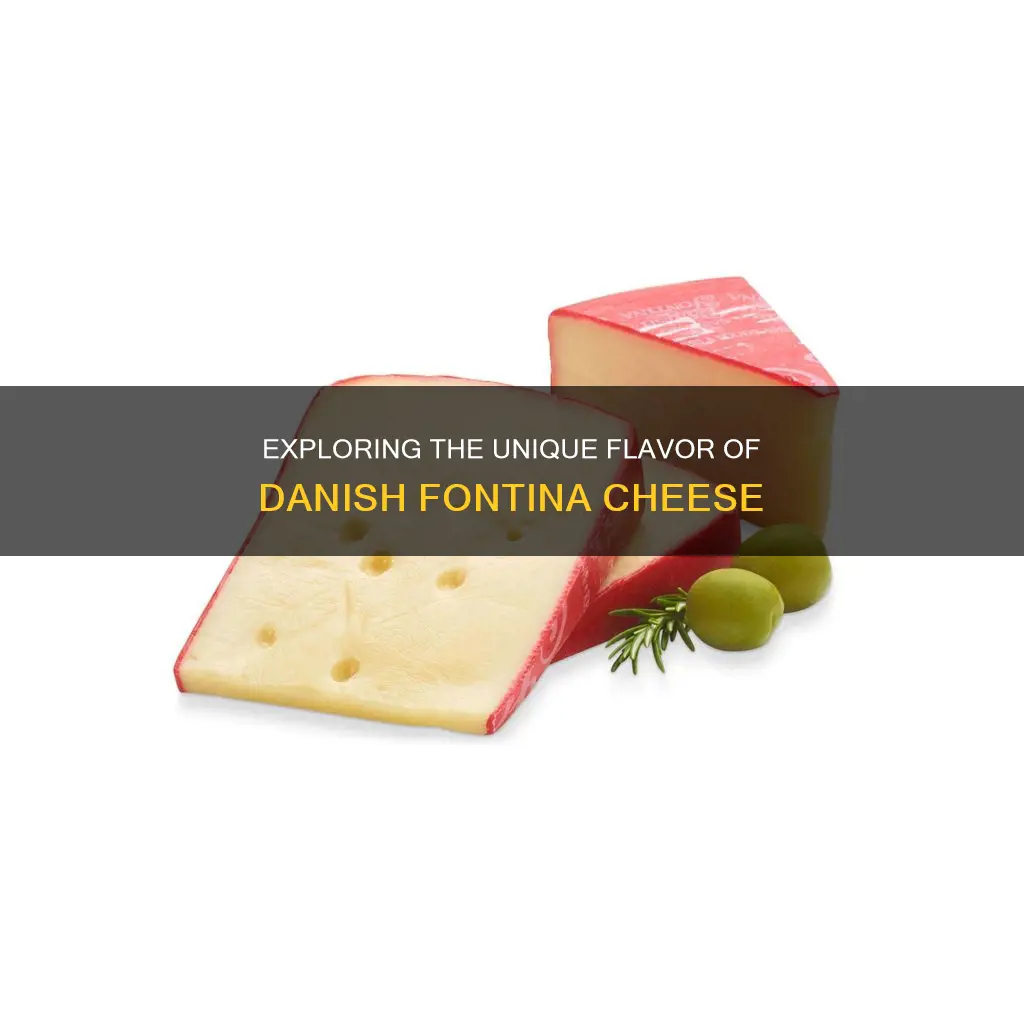 what does danish fontina cheese taste like