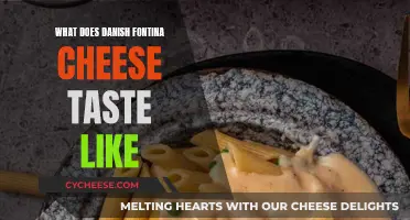 The Taste of Danish Fontina Cheese: Salty and Nutty