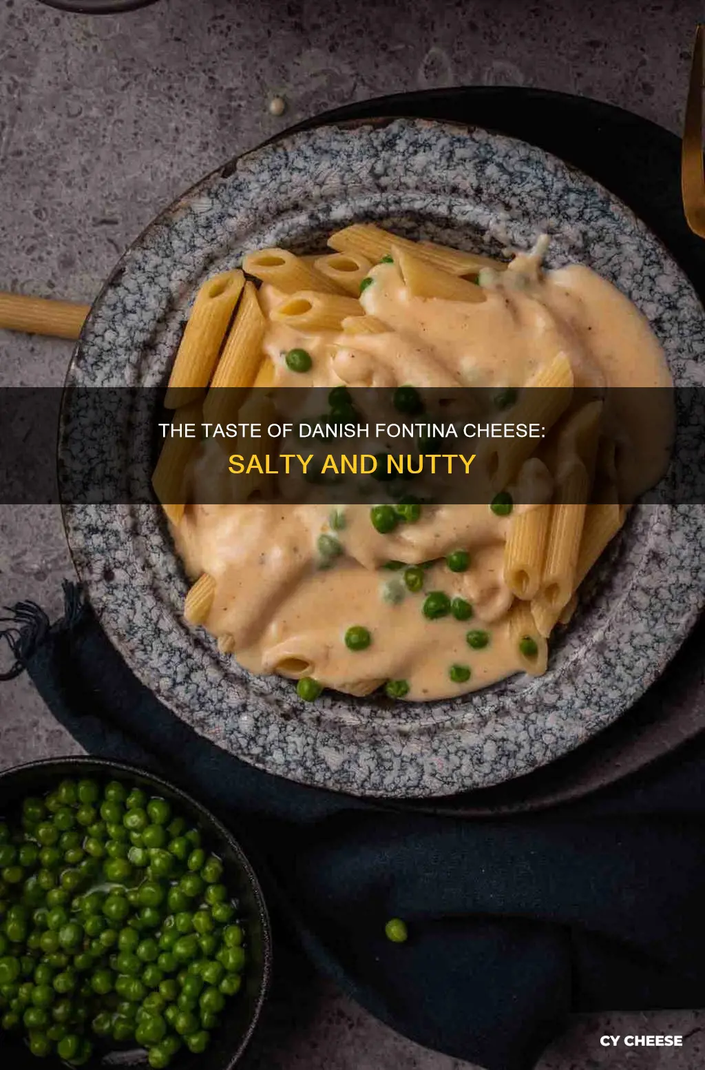 what does danish fontina cheese taste like