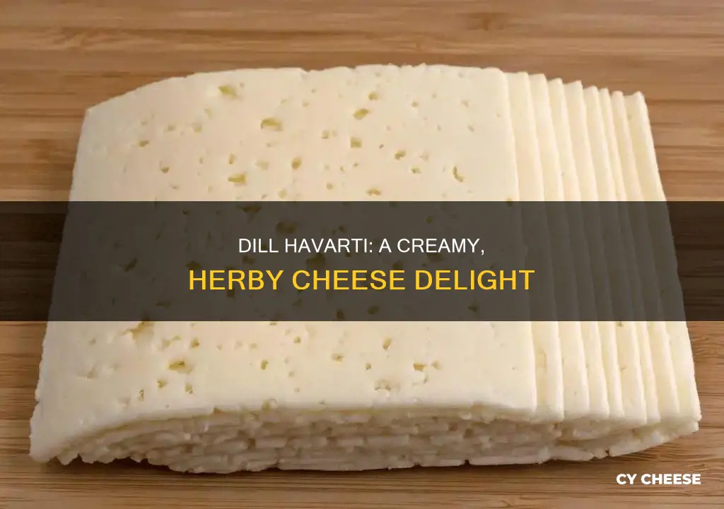 what does dill havarti cheese taste like