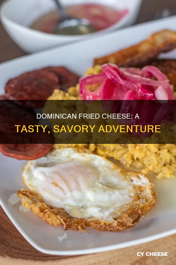 what does dominican fried cheese taste like