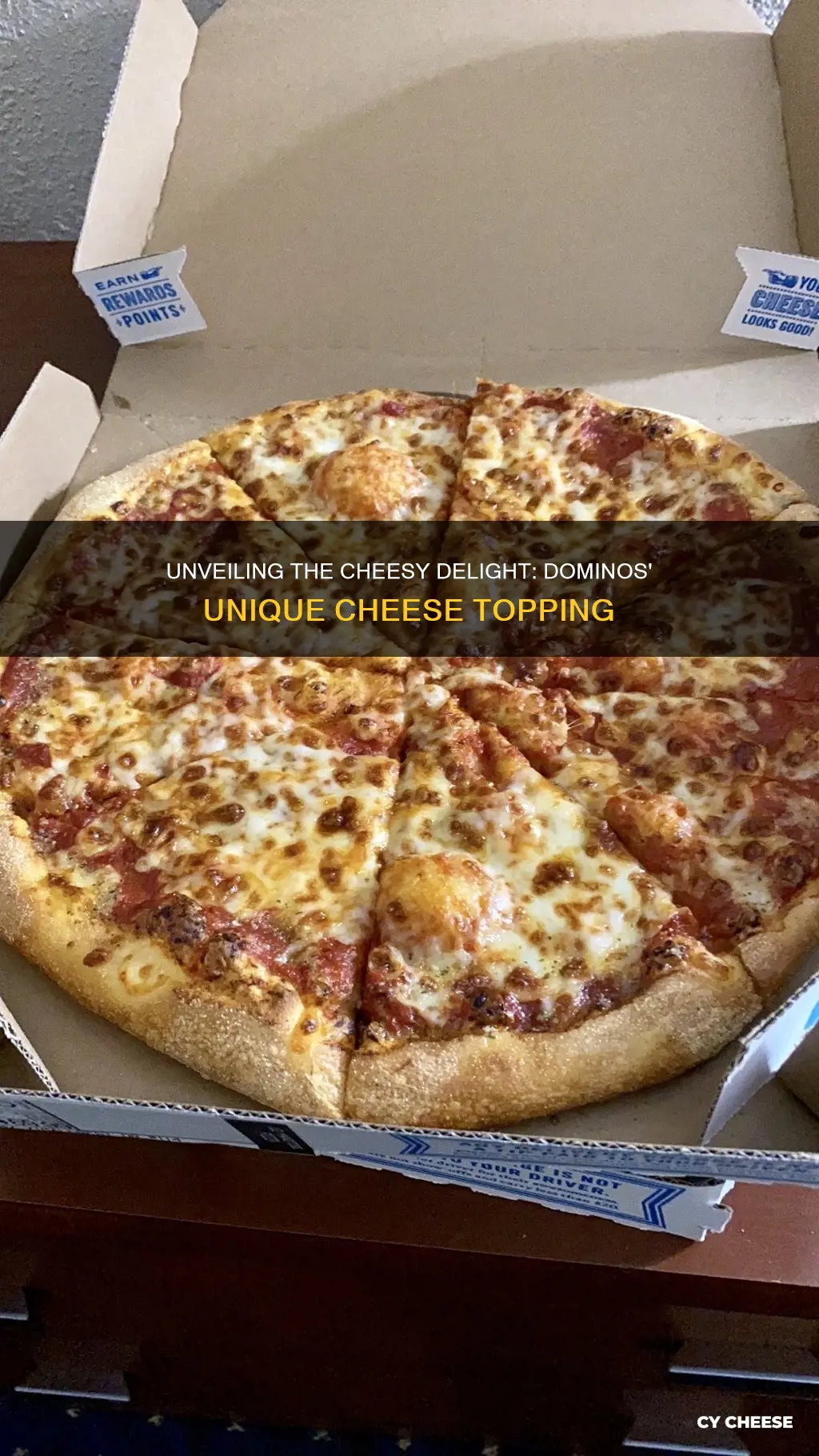 what does dominos cheese look like