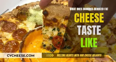 Tasty Yet Different: Dominos' Reduced Fat Cheese Experience