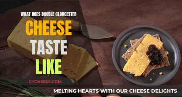The Rich, Savory Flavor of Double Gloucester Cheese