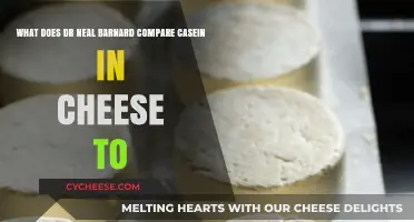 Casein in Cheese: Dr. Neal Barnard's Surprising Comparison Revealed