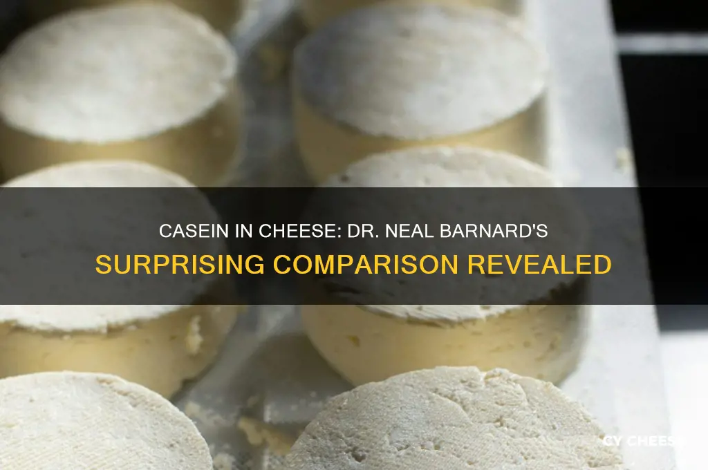 what does dr neal barnard compare casein in cheese to