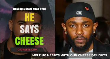 Decoding Drake's 'Cheese': Unraveling the Meaning Behind the Lyrics