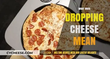 Unraveling the Mystery: What Does Dropping Cheese Really Mean?