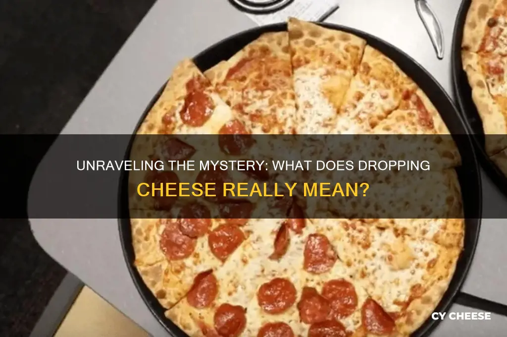 what does dropping cheese mean