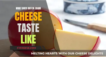 A Taste of Dutch Delight: Exploring Edam's Cheesy Profile