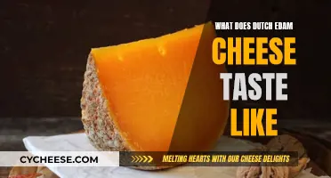 The Unique Taste of Dutch Edam Cheese