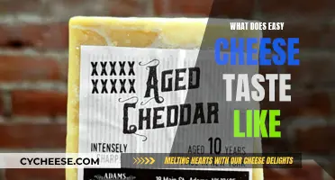 Unveiling the Tasty Mystery: What Easy Cheese Tastes Like