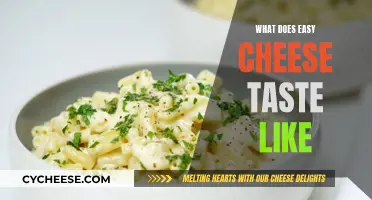 Easy Cheese: What Does It Actually Taste Like?