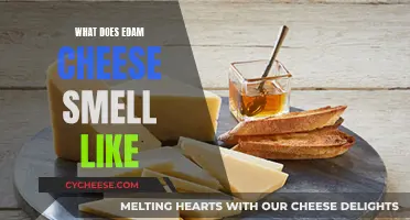 Edam Cheese: Unveiling Its Unique Aroma and Flavor