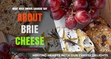 Emeril Lagasse's Brie Cheese Tips: Creamy, Rich, and Irresistible