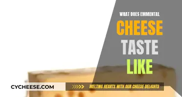 Emmental Cheese: A Mild, Nutty, and Slightly Sweet Taste
