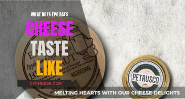The Unique Taste of Époisses Cheese: A Detailed Overview