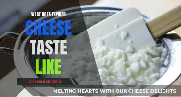 Cheese Expiry: Taste Test and What to Expect