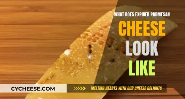 A Golden-Crusted Delight: The Look of Expired Parmesan