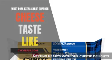 Extra Sharp Cheddar: A Flavorful Adventure in Cheese