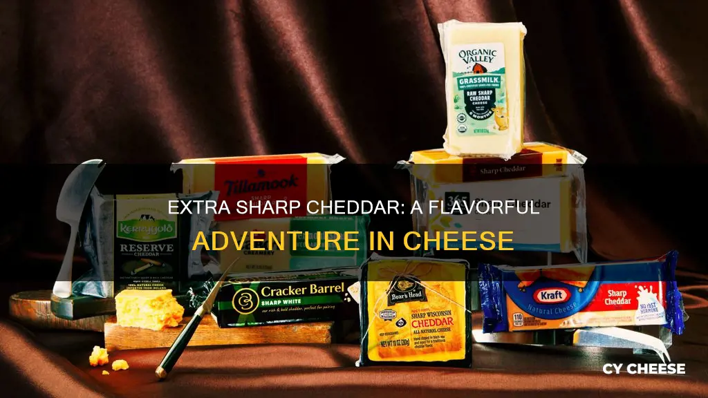 what does extra sharp cheddar cheese taste like