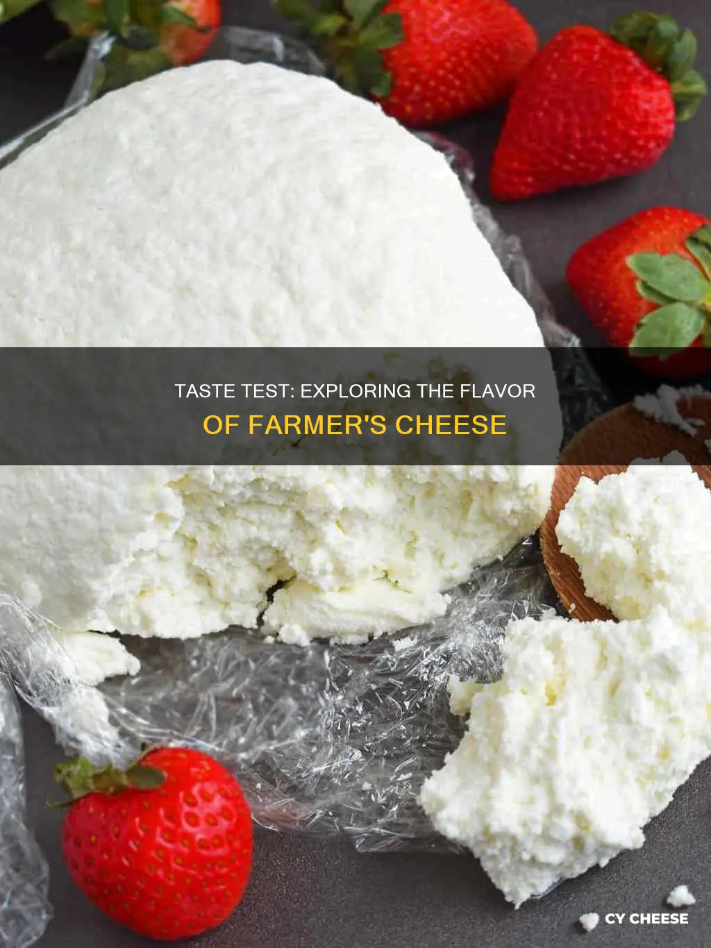 what does farmer cheese taste like