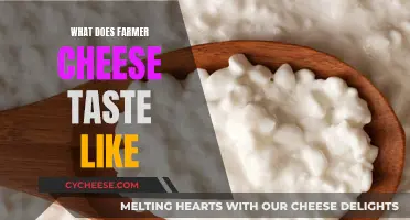 Farmer Cheese: A Unique Taste Experience