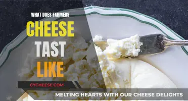 Tart and Creamy: Exploring the Unique Taste of Farmers' Cheese