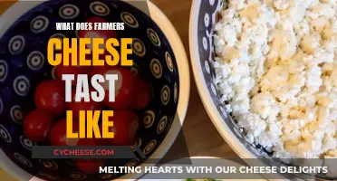 Farmer's Cheese: A Unique Taste Experience