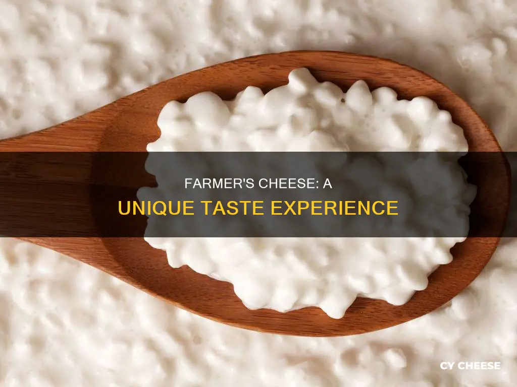 what does farmers cheese tast like