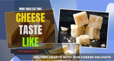 Taste Test: Fat-Free Cheese's Unique Flavor Profile