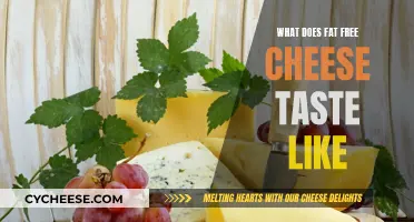 Fat-Free Cheese: Taste Test and Honest Review