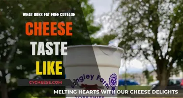 Exploring the Flavor Profile of Fat-Free Cottage Cheese: A Tasty Review