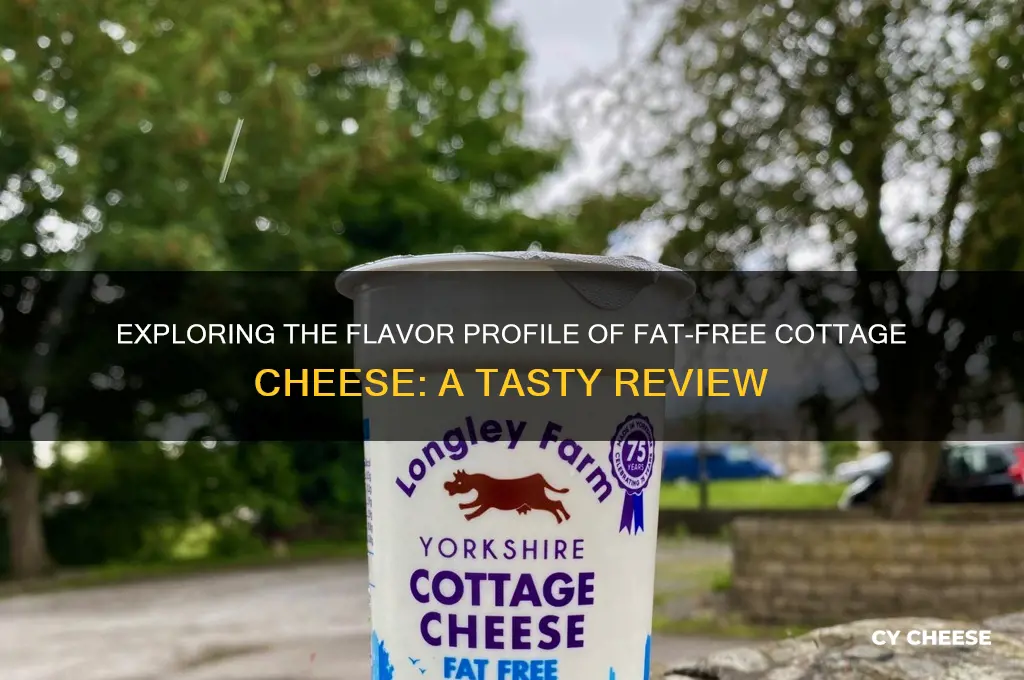 what does fat free cottage cheese taste like