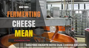 Understanding the Art of Fermenting Cheese: Process, Benefits, and Flavors