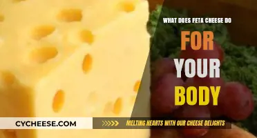 Feta Cheese: Nutrition, Benefits, and Healthy Recipes