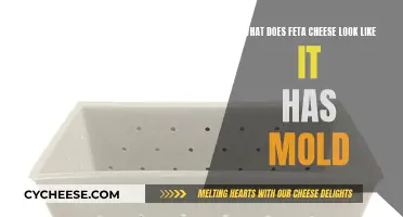 Feta Cheese and Mold: What's the Connection?