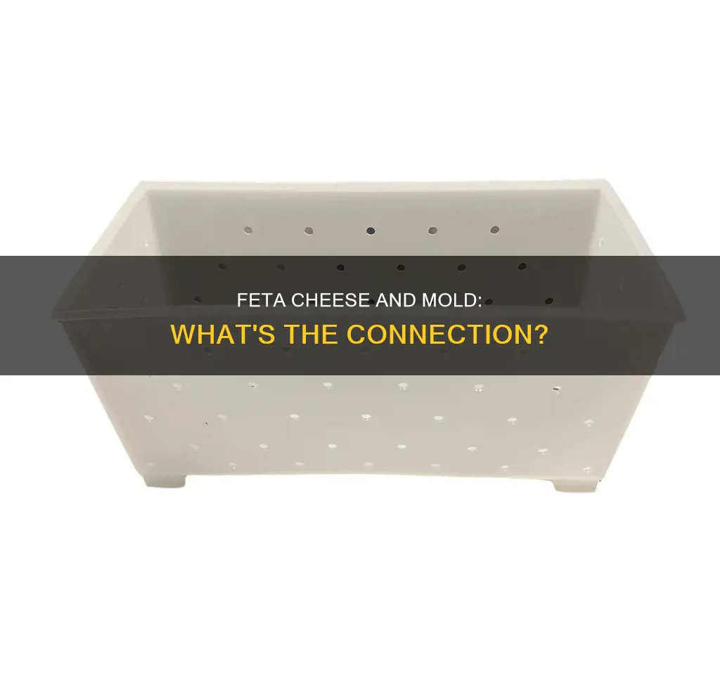 what does feta cheese look like it has mold