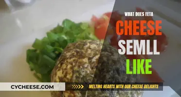 The Distinctive Aroma of Feta Cheese: What's That Smell?