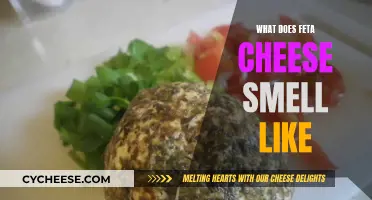 The Distinctive Aroma of Feta Cheese: What's That Smell?