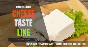 Fetta Cheese: A Taste of Italy's Creamy Delight