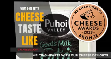 The Unique, Tangy Taste of Fetta Cheese
