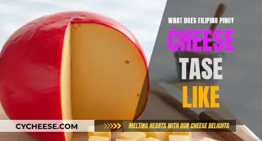 Pinoy Cheese: A Tasty Filipino Adventure