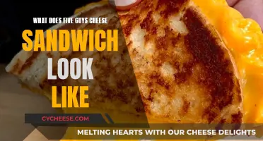 Five Guys' Cheesy Sandwich: A Visual Guide