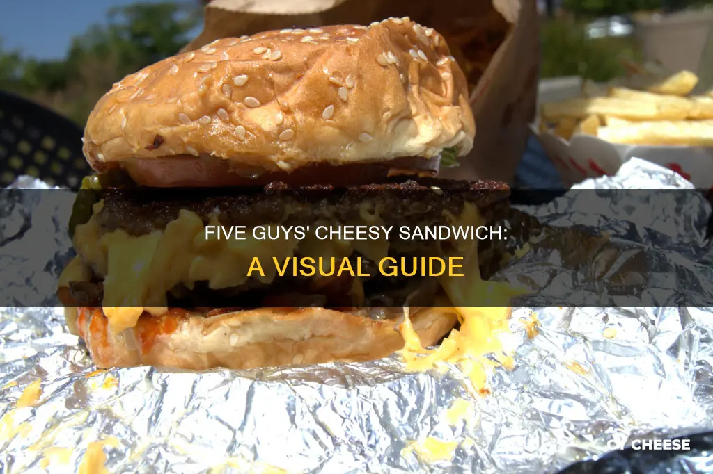 what does five guys cheese sandwich look like