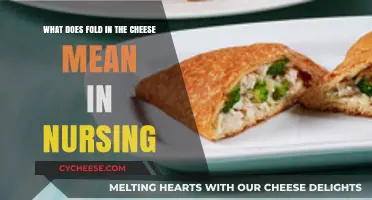 Understanding 'Fold in the Cheese': Nursing Slang Explained and Applied