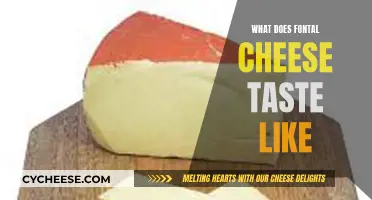 The Unique Flavor of Fontal Cheese