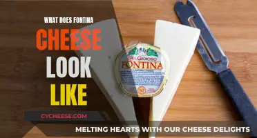 Fontina Cheese: A Visual Guide to Its Appearance