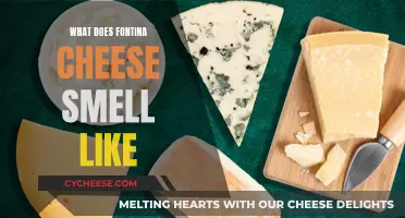 The Stinky Truth: Fontina Cheese's Pungent Aroma