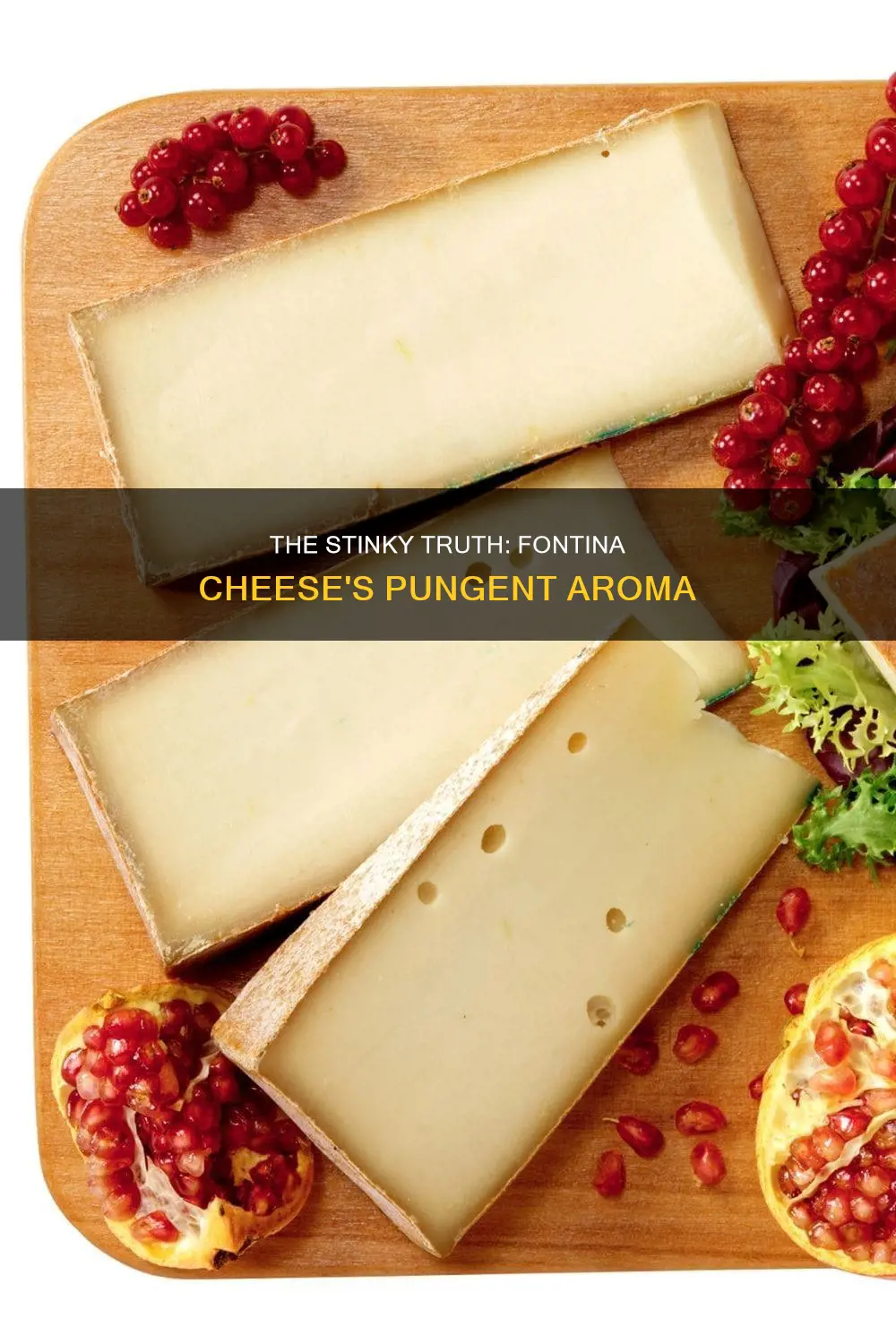 what does fontina cheese smell like